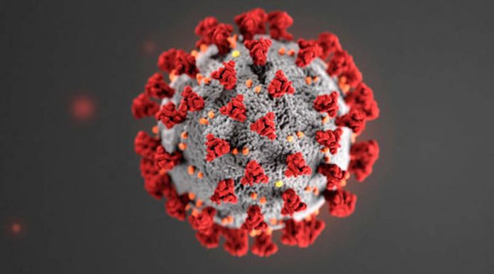 Coronavirus Canada updates: One new case of COVID-19 in Niagara