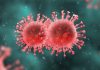 Coronavirus Canada Updates: three schools in Fraser Health region closing due to COVID-19 cases