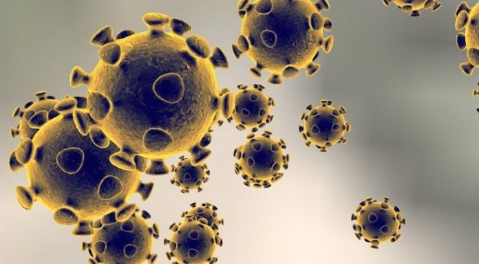 Coronavirus Canada updates: Ontario reports its biggest surge in COVID-19 cases for second straight day