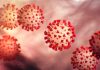 Coronavirus Canada Updates: New COVID-19 outbreak declared at City-run Champlain long-term care home