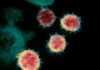 Coronavirus Canada Updates: Nova Scotia reports 4 new cases of COVID-19 on Thursday