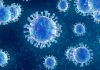 Coronavirus Canada Updates: 154 new COVID-19 cases, 6 deaths in Manitoba Wednesday