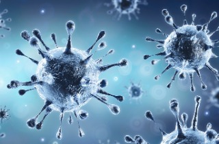 Coronavirus Canada Updates: Record-breaking 34 new cases of COVID-19 confirmed in Island Health region