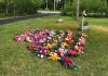 Coronavirus Canada updates: Northwood's silk flowers bloom for those who died in COVID-19 outbreak