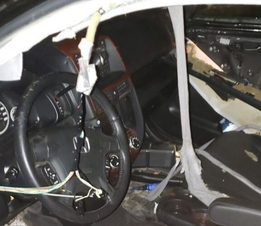 Ontario: Bear breaks into, shreds several vehicles Ontario: Bear breaks into, shreds several vehicles