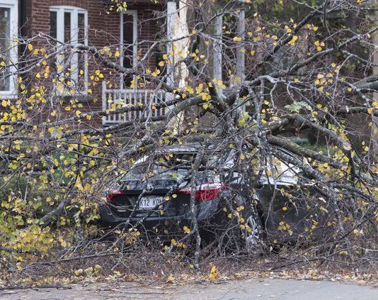 Quebec: Thousands without power after storms sweep across province Quebec: Thousands without power after storms sweep across province