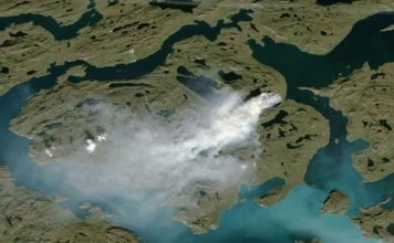 Siberia 10 degrees Celsius hotter in warmest May on record, Report Siberia 10 degrees Celsius hotter in warmest May on record, Report