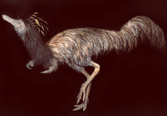 Alvarezsaurids prairiensis: New Species of Hook-Handed Dinosaur discovered Alvarezsaurids prairiensis: New Species of Hook-Handed Dinosaur discovered