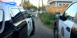 Calgary: Man in life-threatening condition following late night shooting Calgary: Man in life-threatening condition following late night shooting