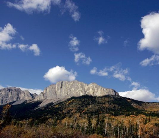 Calgary man dies while hiking in Canmore area, Report Calgary man dies while hiking in Canmore area, Report