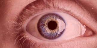 Declining eyesight improved by looking at deep red light (Study) Declining eyesight improved by looking at deep red light (Study)