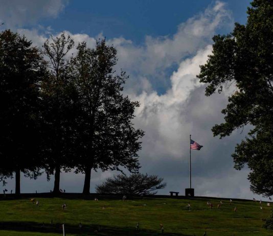 Former VA staffer pleads guilty to 7 murder counts in West Virginia insulin deaths Former VA staffer pleads guilty to 7 murder counts in West Virginia insulin deaths