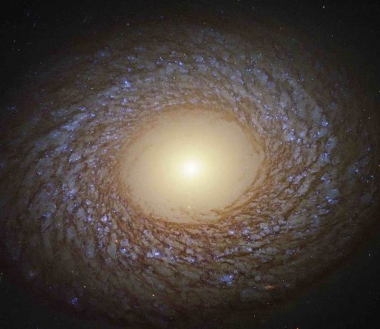 Hubble Space Telescope spots ‘feathered spiral’ galaxy NGC 7513 in deep space Hubble Space Telescope spots 'feathered spiral' galaxy NGC 7513 in deep space