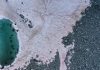 Italian Scientists Baffled Over Pink Snow on Alps Italian Scientists Baffled Over Pink Snow on Alps