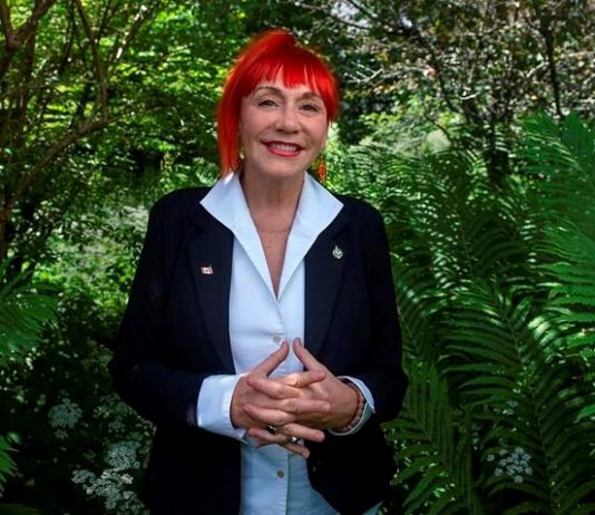 Lenore Zann speaks out on string of abusive calls, veiled threats Lenore Zann speaks out on string of abusive calls, veiled threats