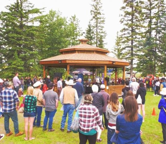 Pipe Nation: Hundreds turn out for casting call in Sundre Pipe Nation: Hundreds turn out for casting call in Sundre