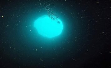 Researchers flock to mysterious ‘blue hole’ off Florida’s Gulf Coast Researchers flock to mysterious ‘blue hole’ off Florida’s Gulf Coast