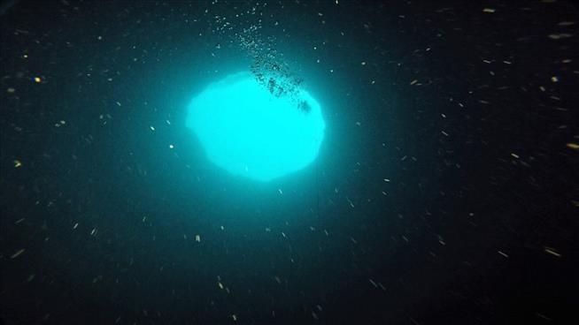 Researchers flock to mysterious ‘blue hole’ off Florida’s Gulf Coast