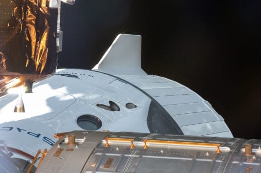 SpaceX and NASA targeting August 1 for Crew Dragon return, Report SpaceX and NASA targeting August 1 for Crew Dragon return, Report