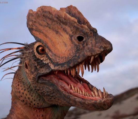 Study: Famous Jurassic Park dinosaur the Dilophosaurus ‘was bigger and more powerful’ than the 1993 film shows Study: Famous Jurassic Park dinosaur the Dilophosaurus 'was bigger and more powerful' than the 1993 film shows