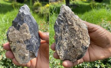 Study: Homo erectus hand ax found in East Africa Study: Homo erectus hand ax found in East Africa