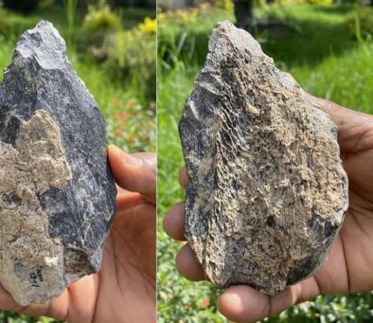 Study: Homo erectus hand ax found in East Africa Study: Homo erectus hand ax found in East Africa