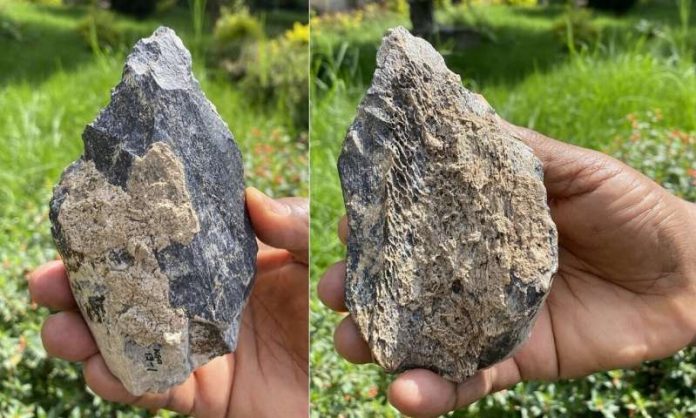 Study Homo erectus hand ax found in East Africa Study: Homo erectus hand ax found in East Africa