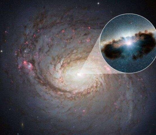 Supermassive black holes could be the sources of neutrinos seen on Earth (Study) Supermassive black holes could be the sources of neutrinos seen on Earth (Study)