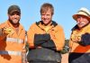 Australia: Two gold nuggets worth $350K found Australia: Two gold nuggets worth $350K found