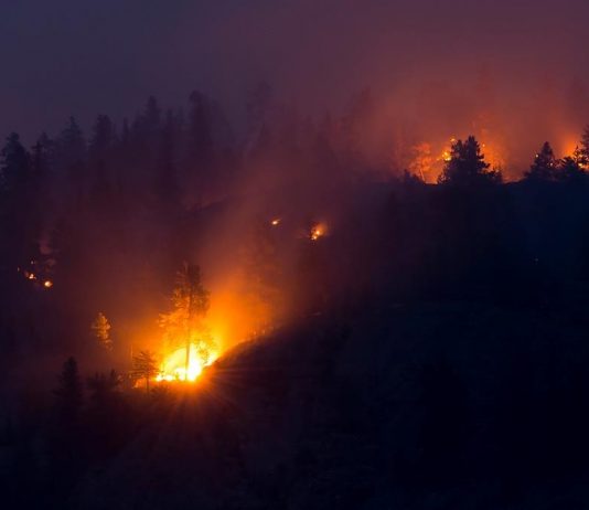 Fire guards could be ‘challenged’ by forecast winds, Report Fire guards could be 'challenged' by forecast winds, Report