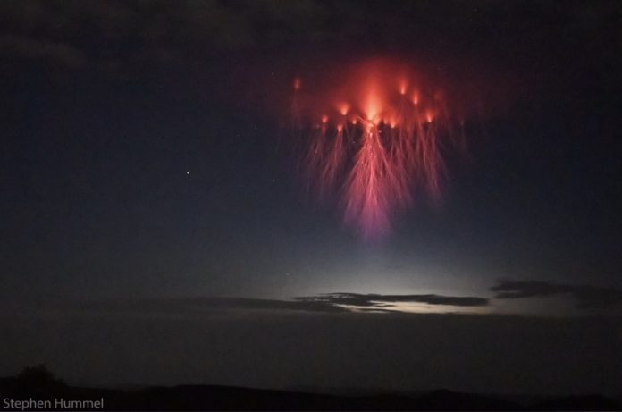 Rare Jellyfish Sprites was captured hovering in the sky
