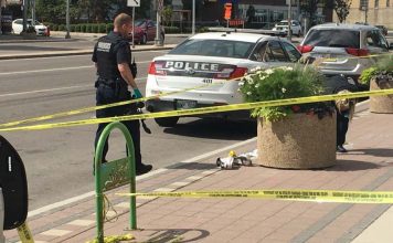 Winnipeg shooting: Three people rushed to hospital Winnipeg shooting: Three people rushed to hospital