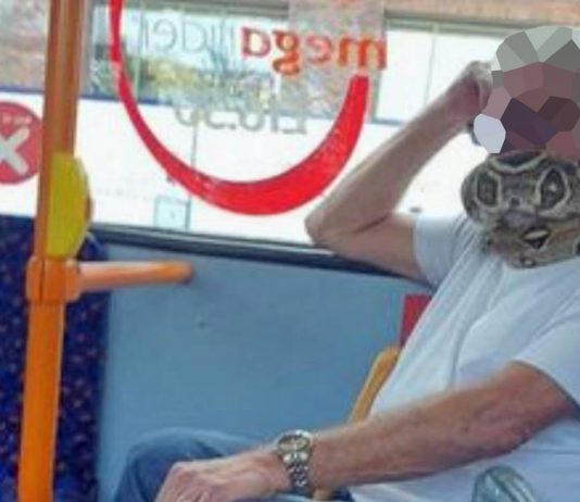 Man 'wears' snake as face mask on bus (Video)