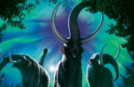 Mastodon migrations north offer clues about today’s animal movements, says new research Mastodon migrations north offer clues about today's animal movements, says new research