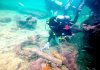 Mexican researchers identify the first Mayan slave ship