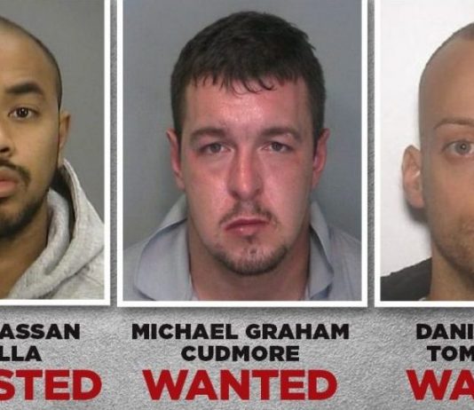 Michael Cudmore: Suspect in mob killing found dead in Mexico Michael Cudmore: Suspect in mob killing found dead in Mexico