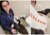 Calgary woman welcomes goose into her home after being concerned for its welfare, Report