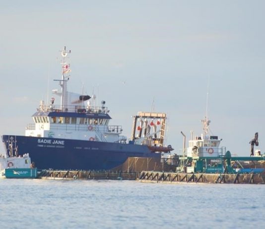 Cooke Aquaculture Acquires Massachusetts Seafood Company, Report Cooke Aquaculture Acquires Massachusetts Seafood Company, Report