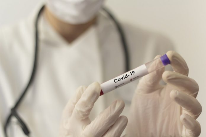 Coronavirus Canada Updates: New Brunswick Reports 13 New COVID-19 Cases