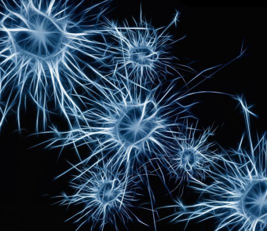 Investigational ALS drug AMX0035 slows progression (Study) Investigational ALS drug AMX0035 slows progression (Study)