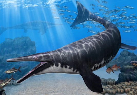 “New” mosasaur had a fish-grabbing snout like a crocodile Unveiled in Morocco "New" mosasaur had a fish-grabbing snout like a crocodile Unveiled in Morocco