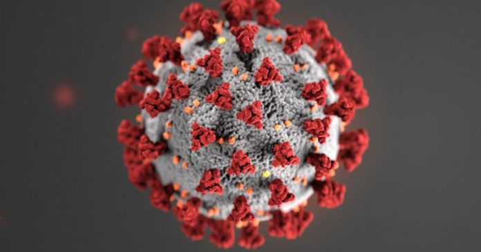 Coronavirus Canada Updates: 267 New Cases In Manitoba Today