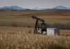 Alberta farmers file lawsuit over unpaid oil lease compensation, Report