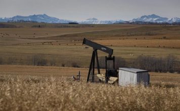 Alberta farmers file lawsuit over unpaid oil lease compensation, Report Alberta farmers file lawsuit over unpaid oil lease compensation, Report