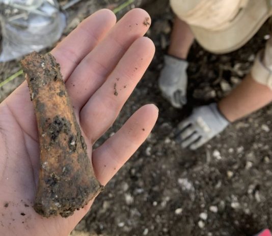 Maryland Archaeologists Unearth Jesuit Plantation’s 18th-Century Slave Quarter (Study) Maryland Archaeologists Unearth Jesuit Plantation’s 18th-Century Slave Quarter (Study)