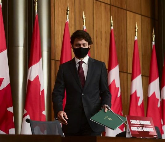 No budget yet for Liberals’ promise to plant two billion trees by 2030, Report No budget yet for Liberals' promise to plant two billion trees by 2030, Report