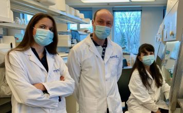 Quebec research institute might have found new molecule to fight gonorrhea and meningitis, Report Quebec research institute might have found new molecule to fight gonorrhea and meningitis, Report