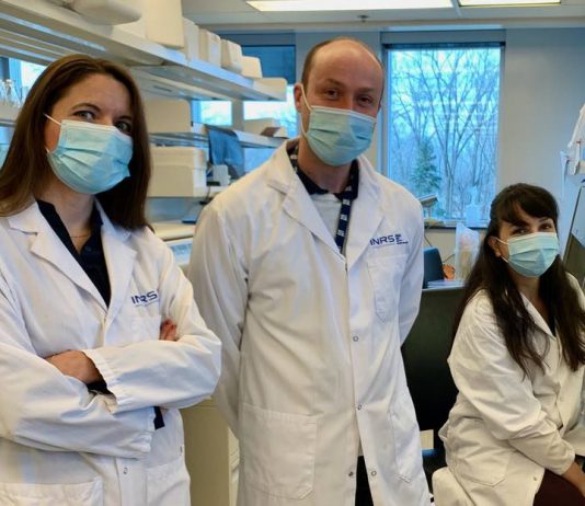 Quebec research institute might have found new molecule to fight gonorrhea and meningitis, Report Quebec research institute might have found new molecule to fight gonorrhea and meningitis, Report