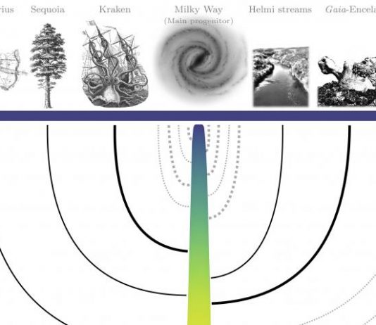 Scientists reconstruct the Milky Way’s family tree Scientists reconstruct the Milky Way's family tree