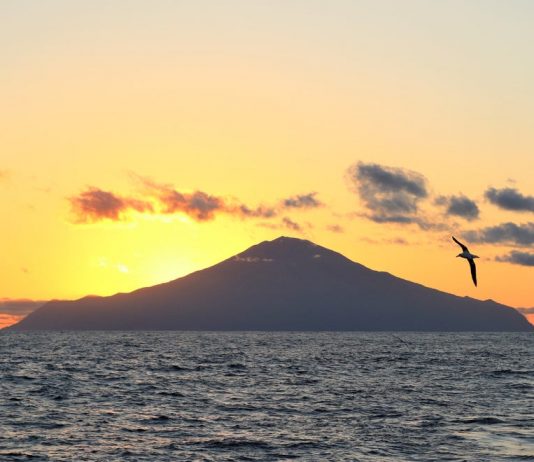 Tristan da Cunha: Giant marine sanctuary to surround world’s most remote inhabited island, Report Tristan da Cunha: Giant marine sanctuary to surround world's most remote inhabited island, Report